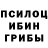Галлюциногенные грибы MAGIC MUSHROOMS Areg Harutyunyan